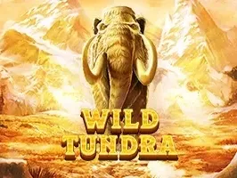 Wild Tundra DNT game thumbnail