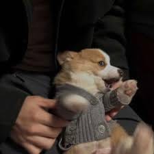 ชนาธิป สรงกระสินธ์ avatar